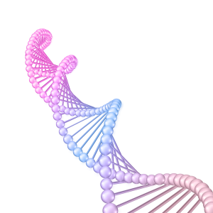 DNA molecule